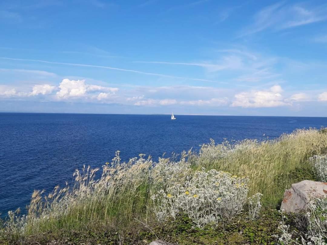 Dairos Daire Mali Lošinj Dış mekan fotoğraf