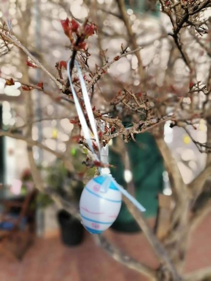 Dairos Daire Mali Lošinj Dış mekan fotoğraf